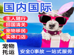 北京首都机场快递国际宠物托运 【国